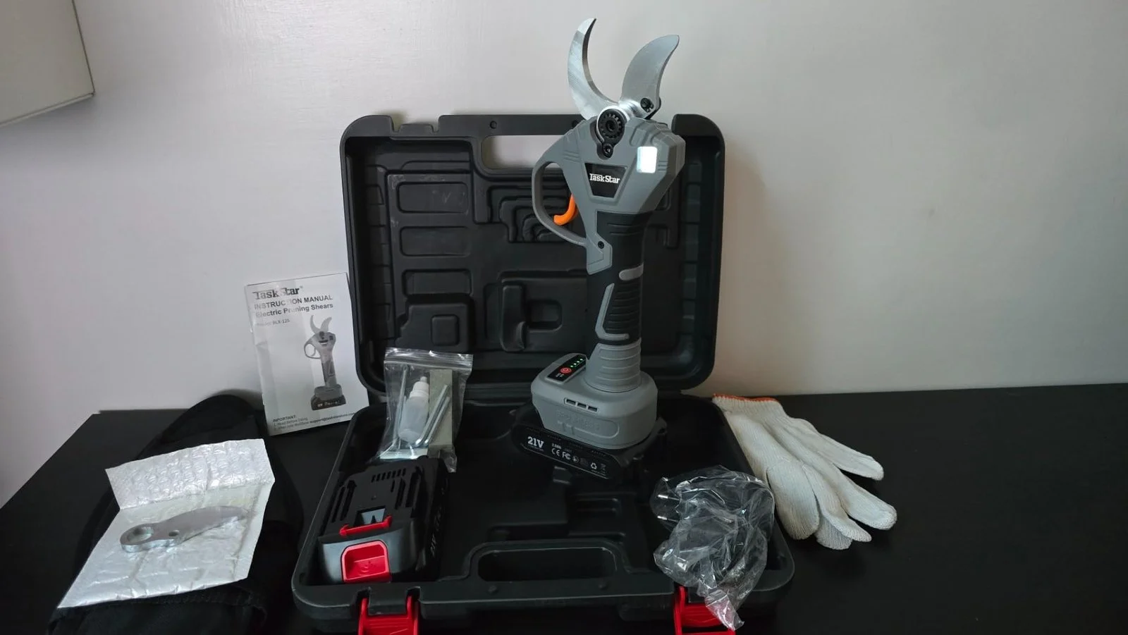 Recenzie Ștefan Nicolescu