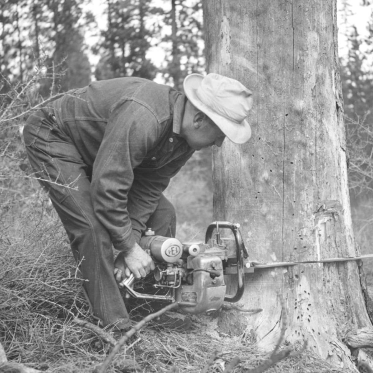 Klassische Benzinkettensäge