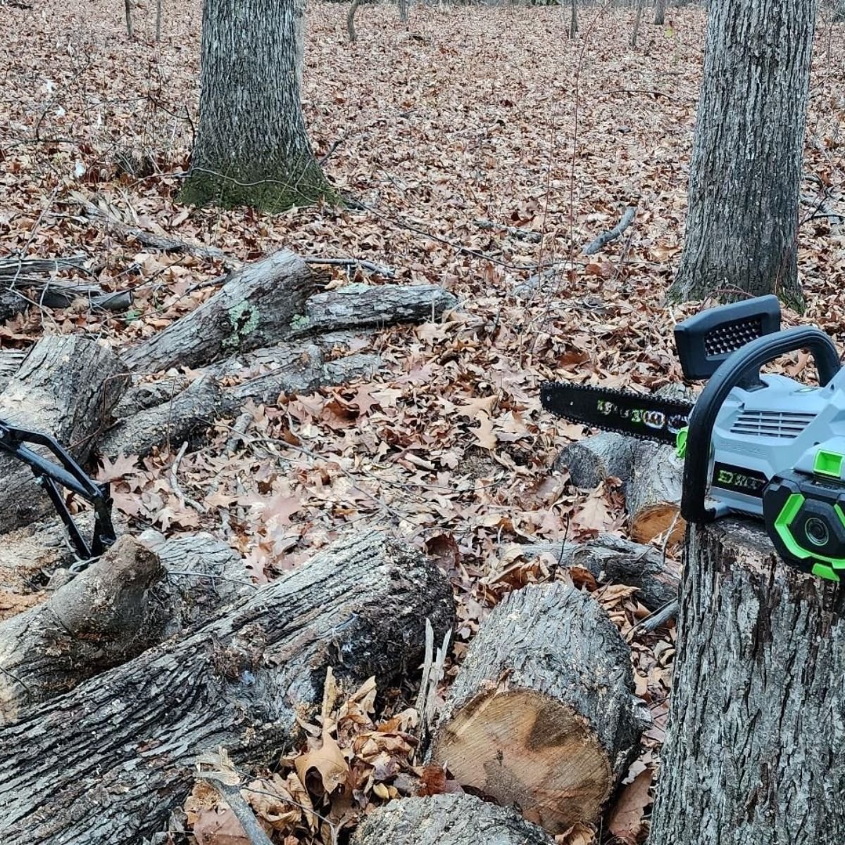 Bewertung von Thomas K.