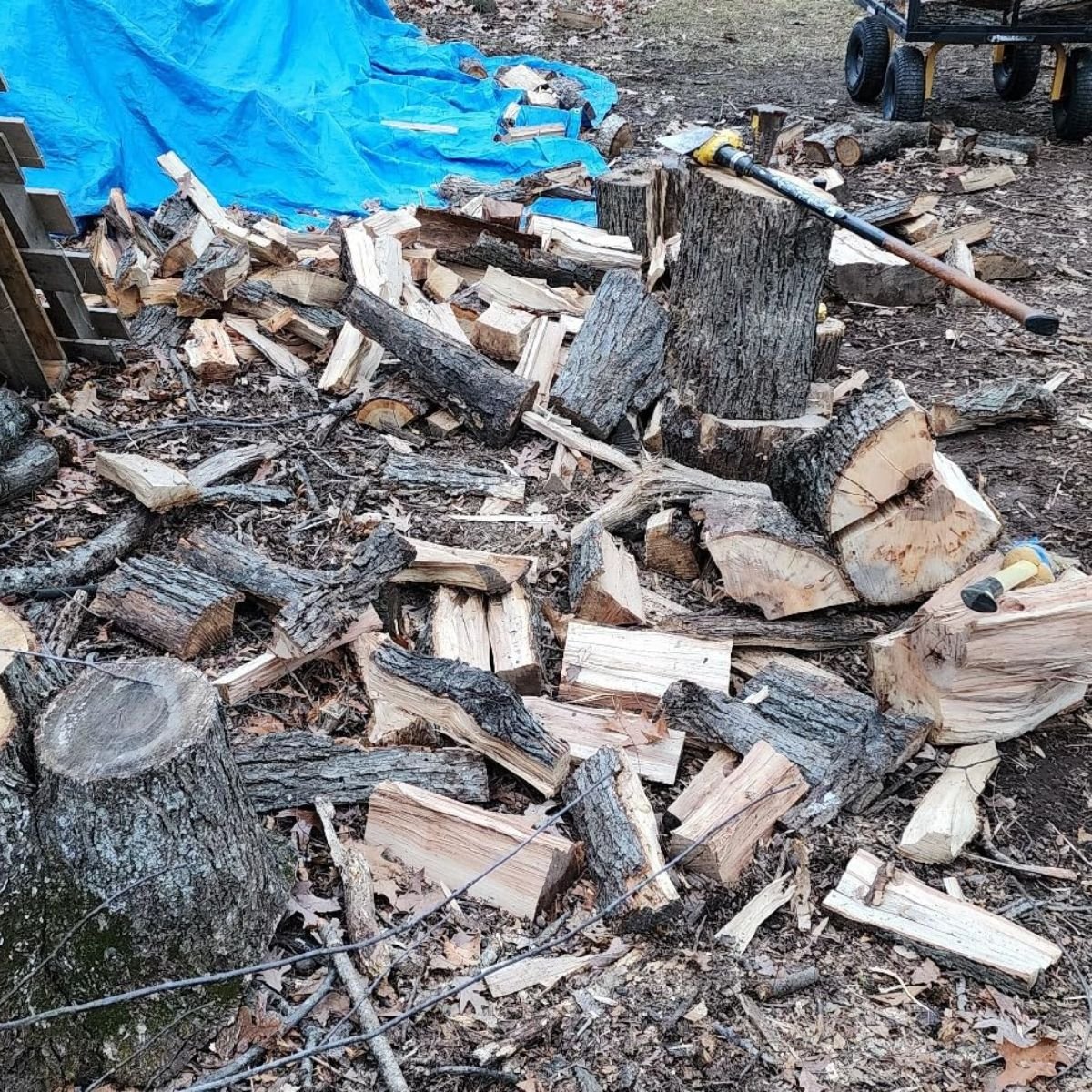 Bewertung von Petra B.