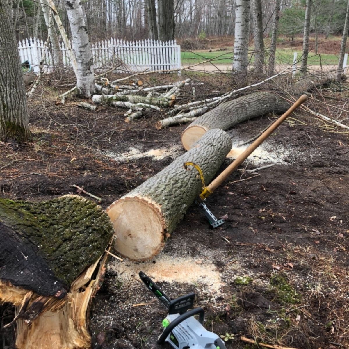 Bewertung von Andrea I.