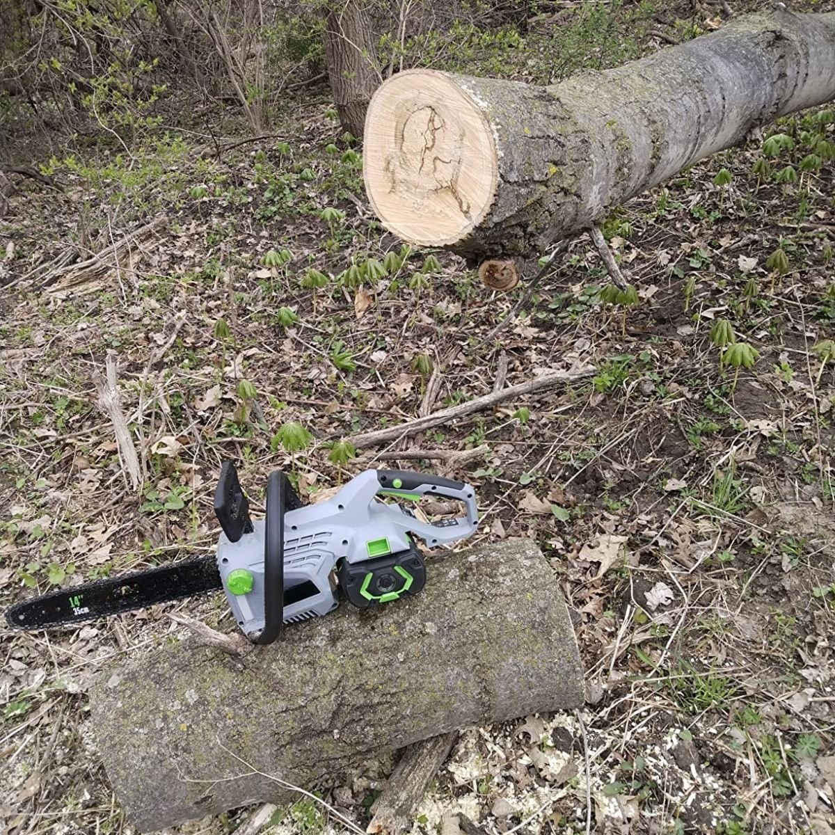 Bewertung von Klaus L.